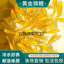 �S���\�����~��ؔ�~���~���~���B�ͻ���ˮ�~�~��С���~�^�p�~