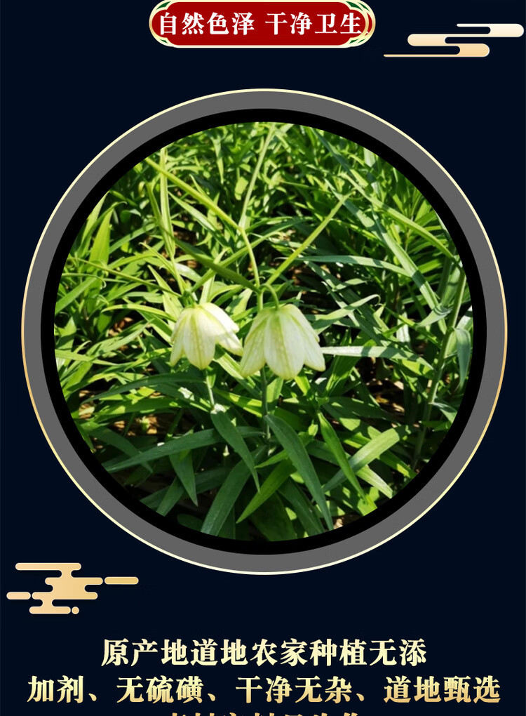 Zhejiang Fritillaria Bulb Zhe Bei Mu 500g Dried Sliced Bulbs Traditional Herbal Decoction Ingredient key features