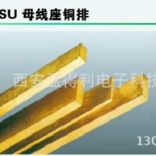 Shanghai Lepu SU Busbar Holder Copper Row 25X5 Electroplating Officially Authorized