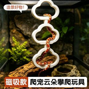 ��������������녶��쾰�������،m�����쾰�޽����������N������