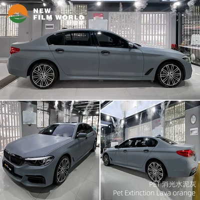 extinction series extinction lizard green — Automotive Film - matting-cement-ash