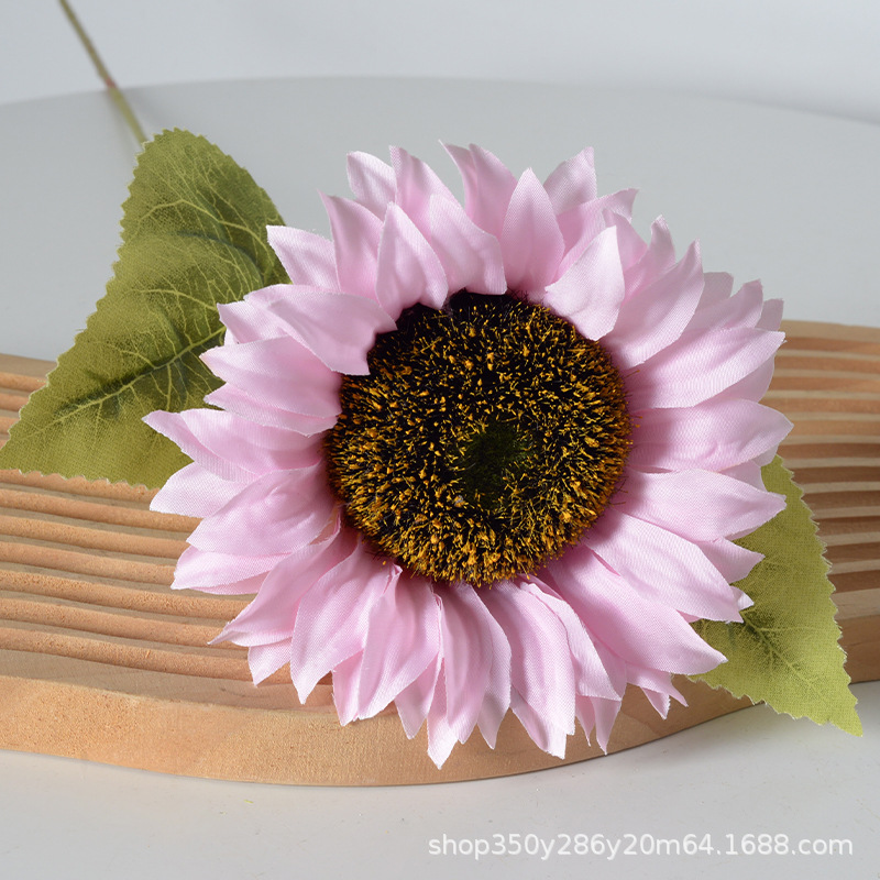 El nuevo girasol rosa