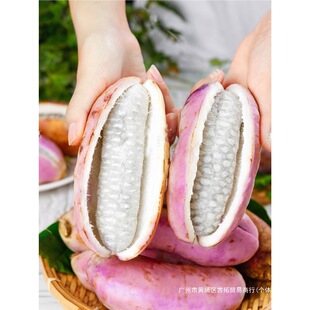 ��ϰ��¹���Ƥ������rˮ�������Fժ�F�lѩ��t�½��ؼ��o����