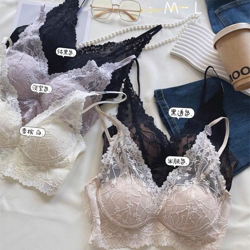 French Fairy Intimates V Neck Lace Elegant and Exquisite Thin Mesh Lightweight Beautiful Back Bra Wanluoti 257