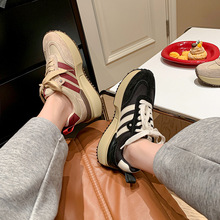 �ϵ�Ь2024�¿������e������ӖЬС���OӋ�а���Ь͸���\��Ь