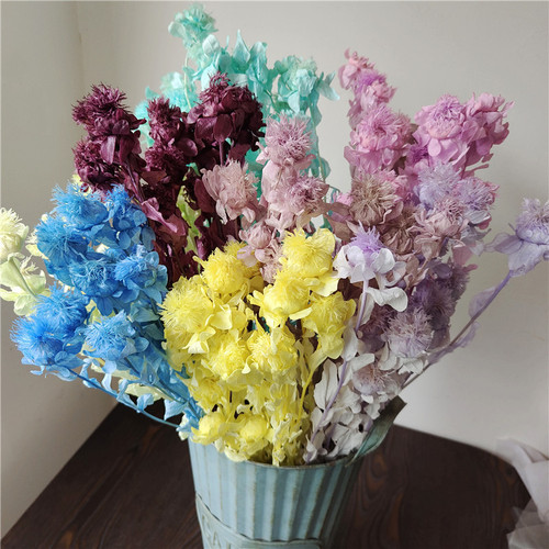 Eternal life orange pineapple floral materials DIY home decoration floral arrangement window display B&B real dried flowers art decoration