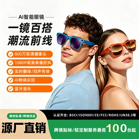 蓝牙耳机;智能眼镜;智能语音设备