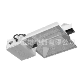 植物生长灯;气体放电灯;花盆容器