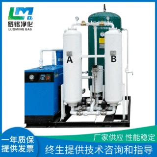 定制PSA制氮机 医用制氮机 食品级制氮机 高纯度氮气机加工定制