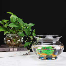 创意水培花器绿萝 花边生态透明 圆形玻璃 金鱼缸 乌龟缸  斗鱼满