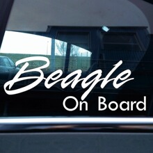 Beagle���ع���������ϩ����ֽ