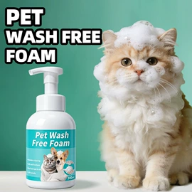 猫猫清洁;狗狗清洁;口腔清洁
