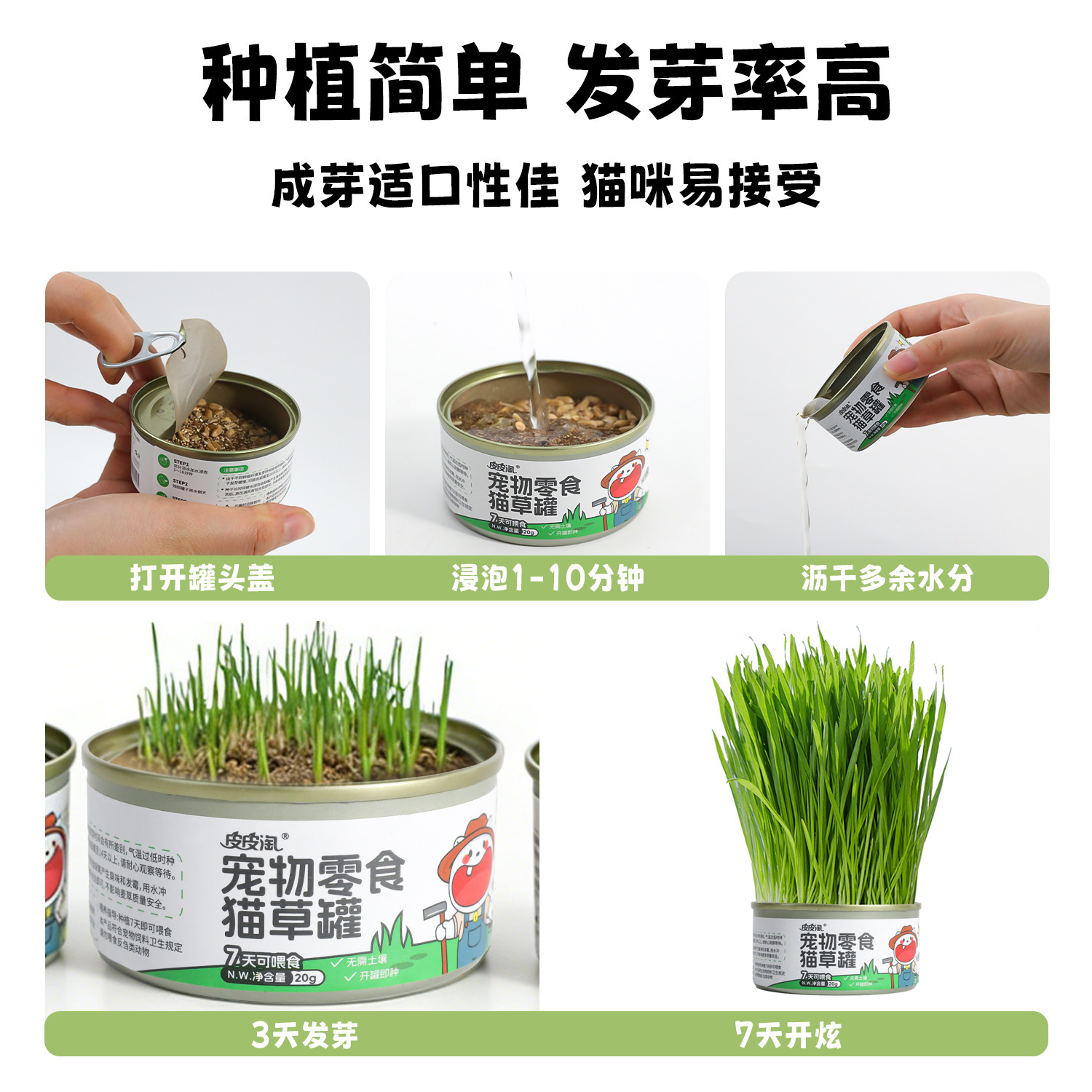 Maceta de Hierba para Gatos, Cultivo sin Tierra para Expulsión de Bolas de Pelo para Gatos