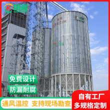 量身定制粮食钢板仓 农村合作社100吨玉米储存仓 热镀锌大豆筒仓