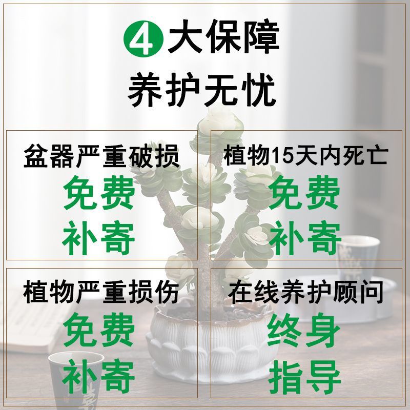 9617f823-c59b-46e3-a6be-e4f05b2f4d4d.jpe