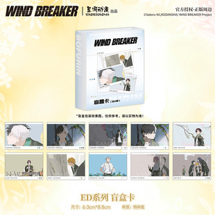 �Ǻӄ�����WIND BREAKER ���L⏡�EDϵ�Й��b�K��ä�п� 80��/��