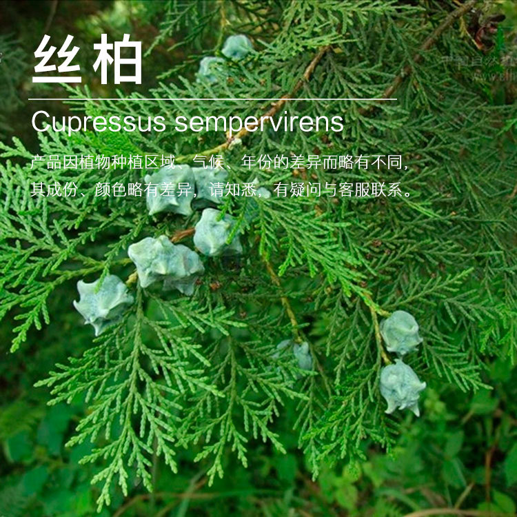 ��Ӧ˿�ش�¶  ˿��������ȡ ��¶�������� ��ӭ��ѯ��ⱸ������