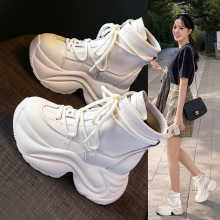 SJN8889-1RѥŮeߎ2023＾ɸѥ