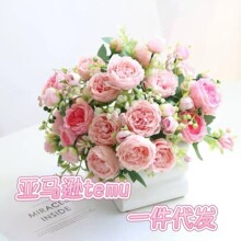 �¿����Q���l���滨�羳�����c�������ѻ���˹ĵ������õ�廨