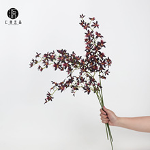 ���Sֱ�N �����m��@С�m���ָб�����滨�ٻ� �ҾӲ廨��c��ˇ