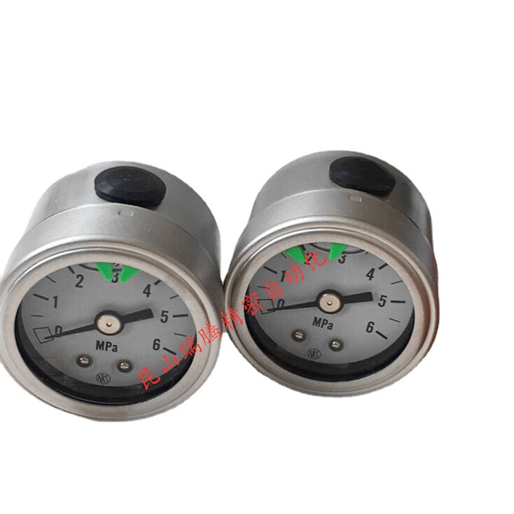 长野计器 GV95-661-4060000XXXX0  0~6MPa压力表 NKS压力表