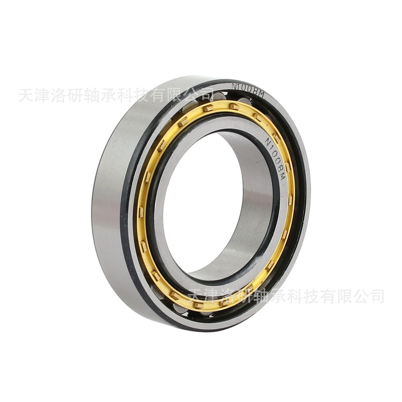 德国精密圆柱滚子轴承N1010-K-M1-SP 现货机床轴承