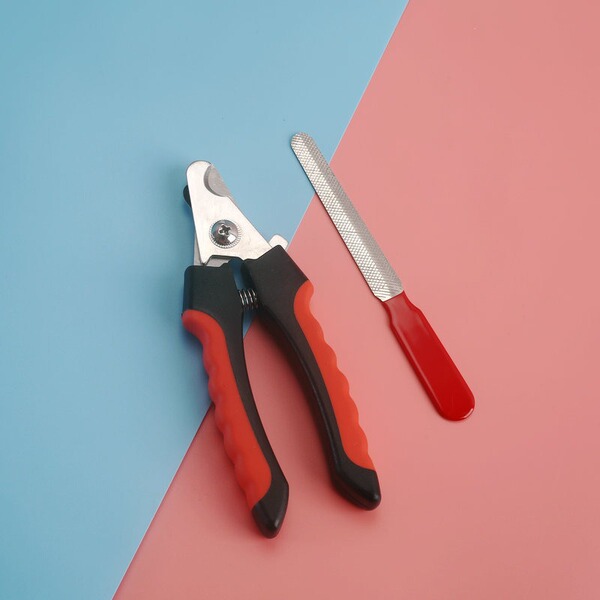 Universal nail scissors for nails