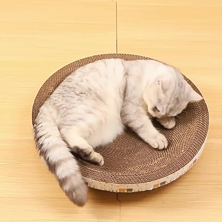 猫キャッチャーボウル型猫キャッチャー猫玩具段ボール爪が落ちない高密度猫用品猫キャッチャー|undefined