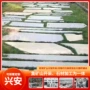 农村建筑庭院民间铺路石