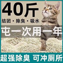 ��϶���؈��؈ɰ�����Y�F20��؈��؈ɰ�͉m����40����]���