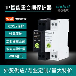 Cross-Border 1Ptuya Smart Switch Circuit Breaker Remote Control Voice Control On-Off Metering Customized Leakage Protection