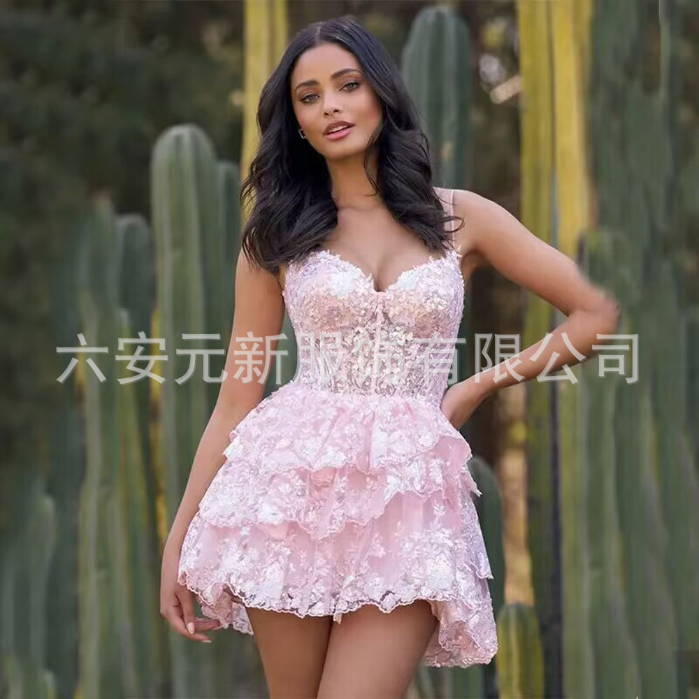 Europa y América del Comercio Exterior Amazon AliExpress estación independiente deseo lentejuelas de encaje apliques pequeña falda banquete vestido la liga