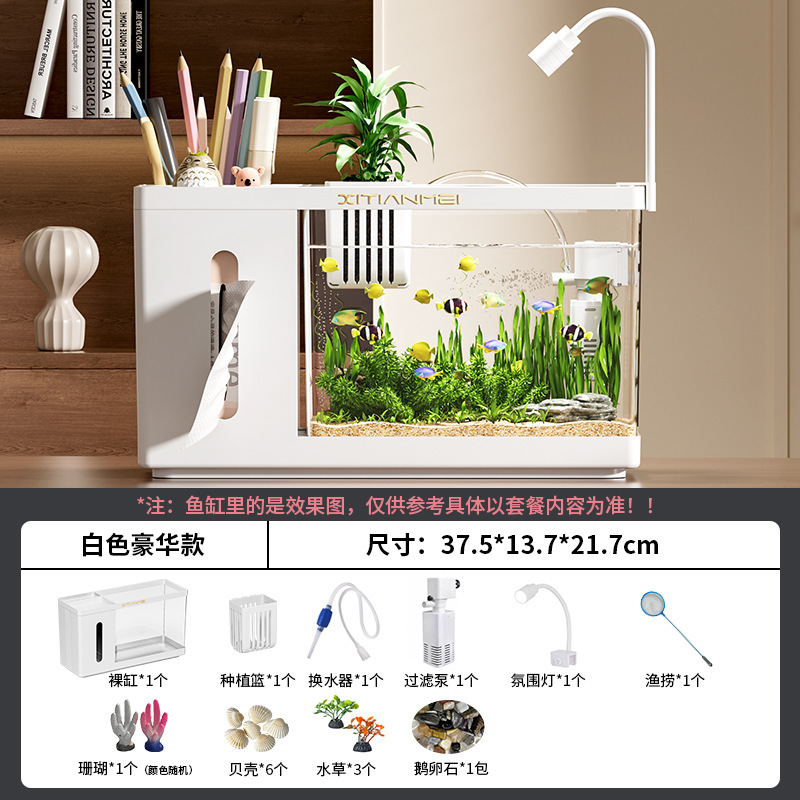 家用桌面创意鱼缸纸巾盒客厅生态斗鱼缸办公桌高透小型水培饲养缸|undefined