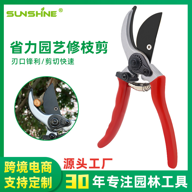 Herramientas de jardinería Cuchillo de podar de acero SK5 de alta dureza Cortar de árboles frutales Tijeras de jardín Tijeras de ramas gruesas Floristería al por mayor