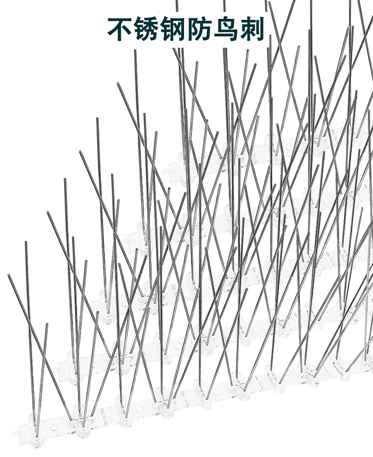 防鸟刺_01.jpg