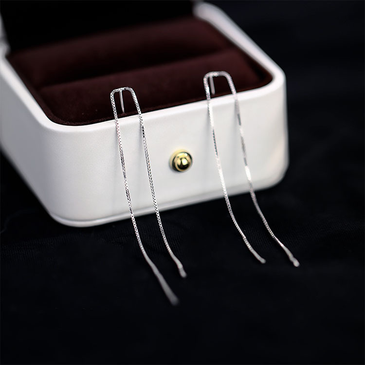 Elegant Double Line Tassel Earrings For Women Unique Long Design_voghion.com