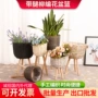 落地木质客厅花盆柳编
