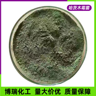 ����ľù�����������־��������ߴ���������������������ľù��