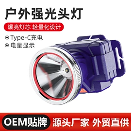头灯头戴电筒;手电筒;野营/露营灯