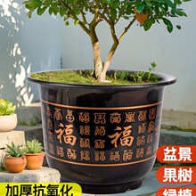 ����������Ϙ�֬�ش�̖�N���ڏ�������lؔ�����ͥԺ�Ӻ�����