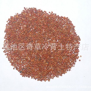 ������,������,�ǘ���,���l��ș��������,��؛��ș������