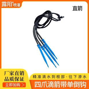��������50cmë��һ���ď��μ����b ��ˮ��ȵι�ϵ�y�μ� �΄�