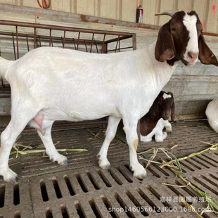 �����ɽ�|�����в���ɽ���Bֳ�� ����ɽ��ăr�� ����ɽ�����