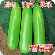 �����J�N�ӽǹϷN�����Ϻ��m�M�ڿ������ͺ�������G�߮a����˹