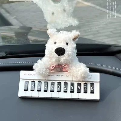 Nömrəli dayanma kartı – in the Car