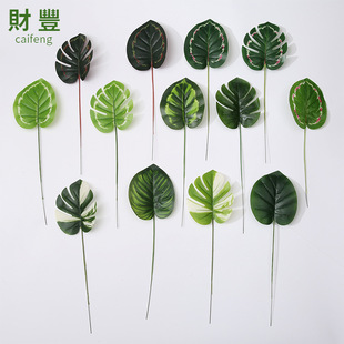 �F؛�ҾӔ[�O�b��^�z����С�����~��c�b��þ�Ʒ�����ֹ��~��