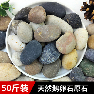 50���Z��ʯͥԺ䁵��·�~�׻��@�쾰��Ȼ�껨ʯԭʯ��С�Zܛʯ�^