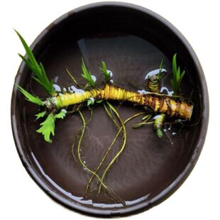 ����ˮ��ˮ������ֲ�������~�׃���ˮ����������̨΢�쾰�^�Gֲ