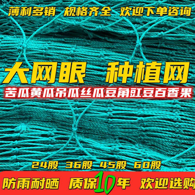 苦瓜黄瓜吊瓜丝瓜豆角豇豆百香果网植物爬藤网种植网攀爬姗婷