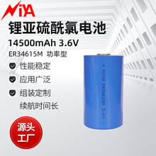 NiYA 大功率ER34615M 锂亚柱式功率型电池3.6V（D SIZE）14500mAh